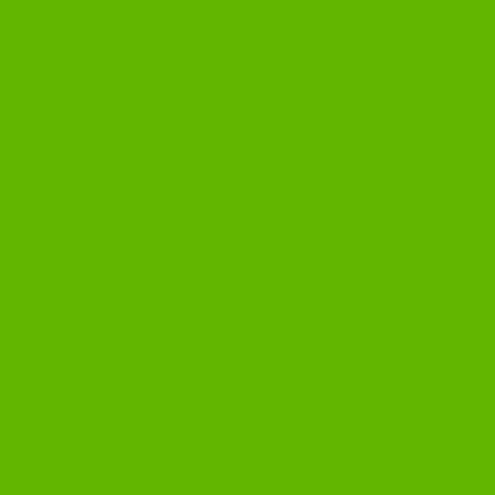 FT18482-Green